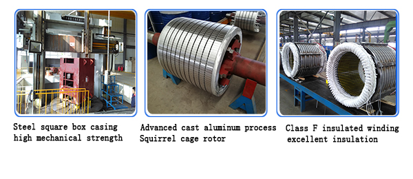 High Voltage Squirrel Cage Induction Motor