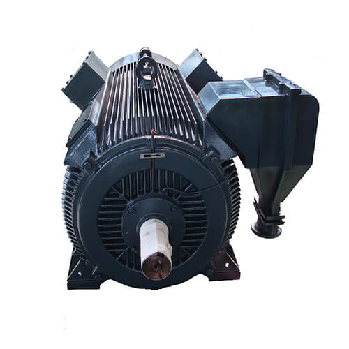 High Voltage Induction Motor