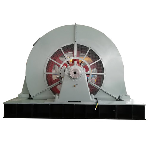 Large synchronous electric motor